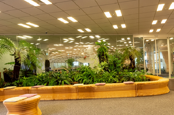 「Earthling Junction」と名付けられたこの空間を監修したのは「そら植物園」https://from-sora.com/代表でプラントハンターの西畠清順氏。室内環境でも長く生き抜くという多様な原種植物を中心にエントランスを彩っています。